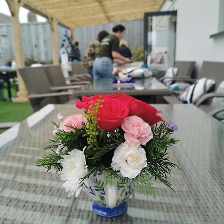 Baginbun Lodge Fethard-on-Sea Dış mekan fotoğraf